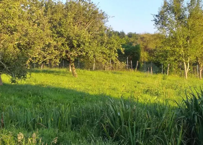 In With Private Pool