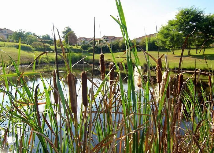 Сasa de vacaciones In With Private Pool *