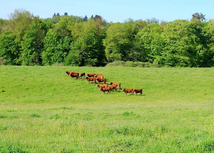 Сasa de vacaciones In With Private Pool Roussines